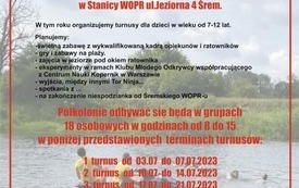 Oferta letnia - p&oacute;łkolonie w Śremie