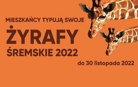 ŚREMSKIE ŻYRAFY 2022