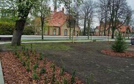 Zielone działania w Śremie | #zielonyśrem