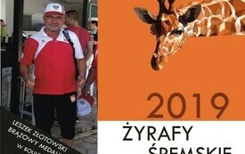 Śremskie Żyrafy - nominacje za 2019 i 2020 rok