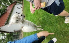 Dzieci z Zespołu Szk&oacute;ł Specjalnych w Śremskim ZOO