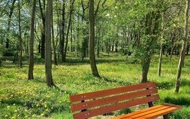 Śremskie parki polecają się na spacer