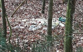 Dzikie wysypiska śmieci na terenie gminy
