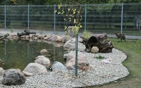 Nowe oczko wodne w Śremskim ZOO