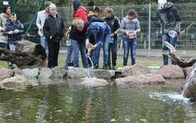 Nowe oczko wodne w Śremskim ZOO