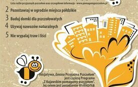 Gmina Śrem przyłączyła się do akcji &bdquo;Gmina Przyjazna Pszczołom&rdquo; 