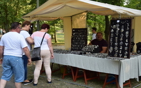 Dni Śremu 2018 za nami