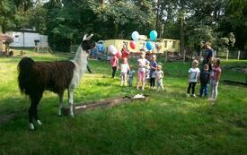 Spotkania ze zwierzętami w Śremskim ZOO