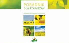 Rolniku &ndash; pamiętaj o pszczołach