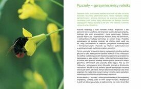 Rolniku &ndash; pamiętaj o pszczołach