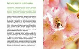 Rolniku &ndash; pamiętaj o pszczołach