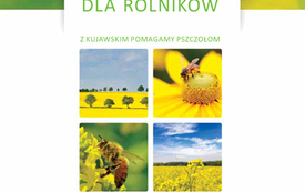 Rolniku &ndash; pamiętaj o pszczołach