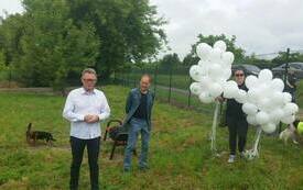 Nowy wybieg dla ps&oacute;w nad Jeziorem Grzymisławskim.