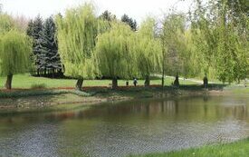 Park Śremskich Odlewnik&oacute;w coraz piękniejszy