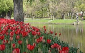Park Śremskich Odlewnik&oacute;w coraz piękniejszy