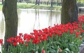 Park Śremskich Odlewnik&oacute;w coraz piękniejszy