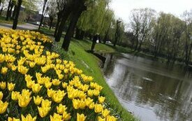 Park Śremskich Odlewnik&oacute;w coraz piękniejszy