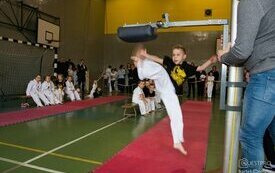 Puchar Feniksa w taekwondo