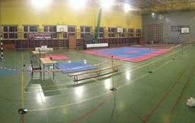 Puchar Feniksa w taekwondo