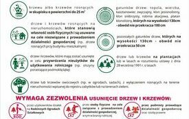 Zmiany w zezwoleniach na wycinkę drzew i krzew&oacute;w