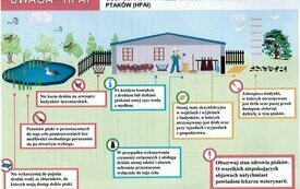 Spotkanie poświęcone wirusowi ptasiej grypy HPAI