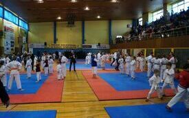 X Jubileuszowy Puchar Wielkopolski w Karate Sportowym