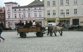 Muzyczny zaprzęg ŚOK