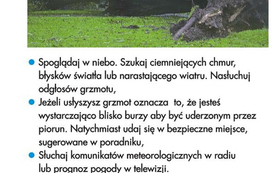 Ostrzeżenie o burzach z gradem w poniedziałek 30 maja 2016 r. 