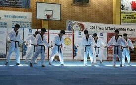 Mistrzowie Taekwondo z Korei w Śremie