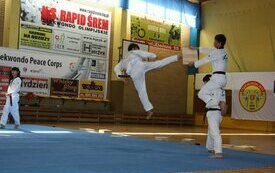 Mistrzowie Taekwondo z Korei w Śremie