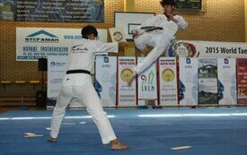 Mistrzowie Taekwondo z Korei w Śremie