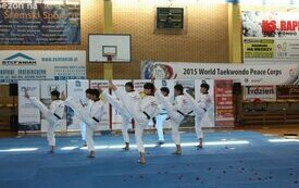 Mistrzowie Taekwondo z Korei w Śremie