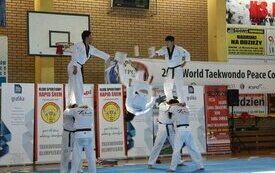 Mistrzowie Taekwondo z Korei w Śremie