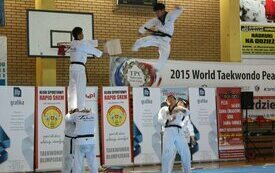 Mistrzowie Taekwondo z Korei w Śremie