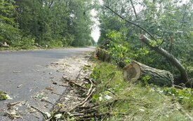 Usuwanie szk&oacute;d po sobotniej nawałnicy nad Śremem