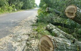 Usuwanie szk&oacute;d po sobotniej nawałnicy nad Śremem