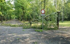 Usuwanie szk&oacute;d po sobotniej nawałnicy nad Śremem