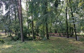 Usuwanie szk&oacute;d po sobotniej nawałnicy nad Śremem