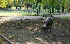 Usuwanie szk&oacute;d po sobotniej nawałnicy nad Śremem