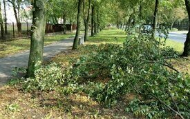 Usuwanie szk&oacute;d po sobotniej nawałnicy nad Śremem