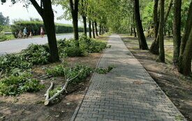 Usuwanie szk&oacute;d po sobotniej nawałnicy nad Śremem