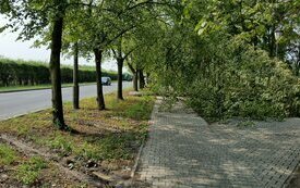 Usuwanie szk&oacute;d po sobotniej nawałnicy nad Śremem