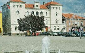 Zdjęcie przedstawia ratusz za fontanną