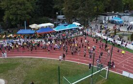 DJI_0361
