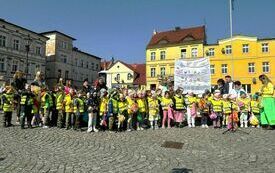 wiosna (7)