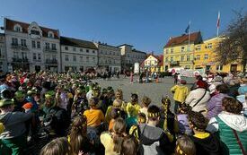 wiosna (2)