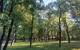 IMG_20251002_093149349_HDR