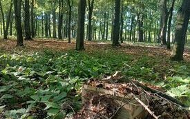 IMG_20250904_085929181_HDR