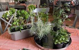 IMG-20251113-WA0067
