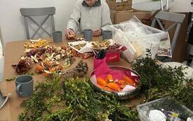 IMG-20251113-WA0023